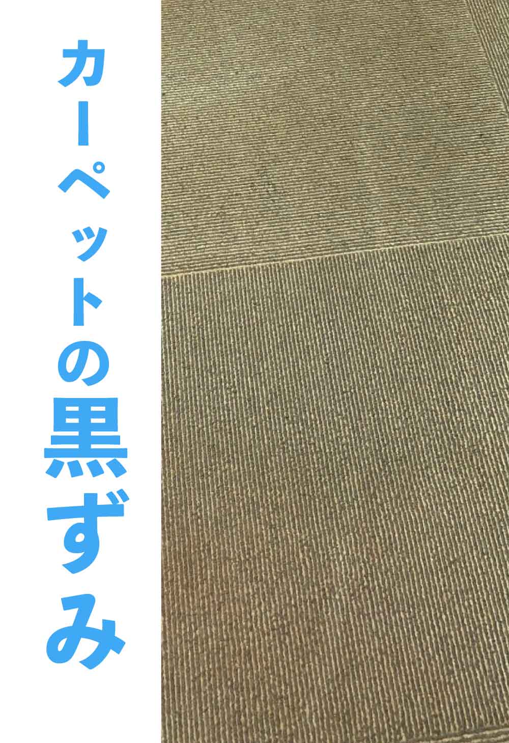 カーペットの黒ずみも福井県内最安値!高圧洗浄職人にお任せください カーペットの黒ずみも福井県内最安値!高圧洗浄職人にお任せください